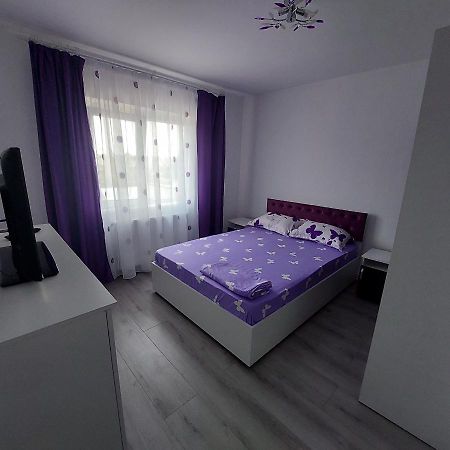 Appartamento Apartament Sara Bîrlad Esterno foto