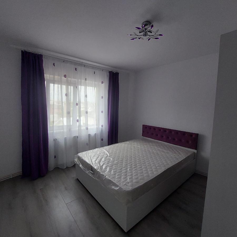 Appartamento Apartament Sara Bîrlad Esterno foto